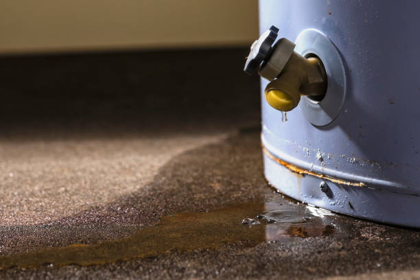 Best Water damage restoration near me  in Galena, IL