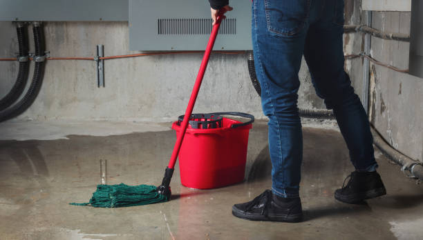 Best Sewage cleanup and water damage restoration  in Galena, IL
