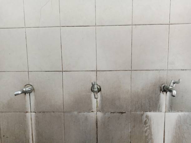 Best Residential water damage restoration  in Galena, IL
