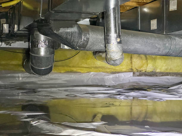 Best Flood restoration services  in Galena, IL